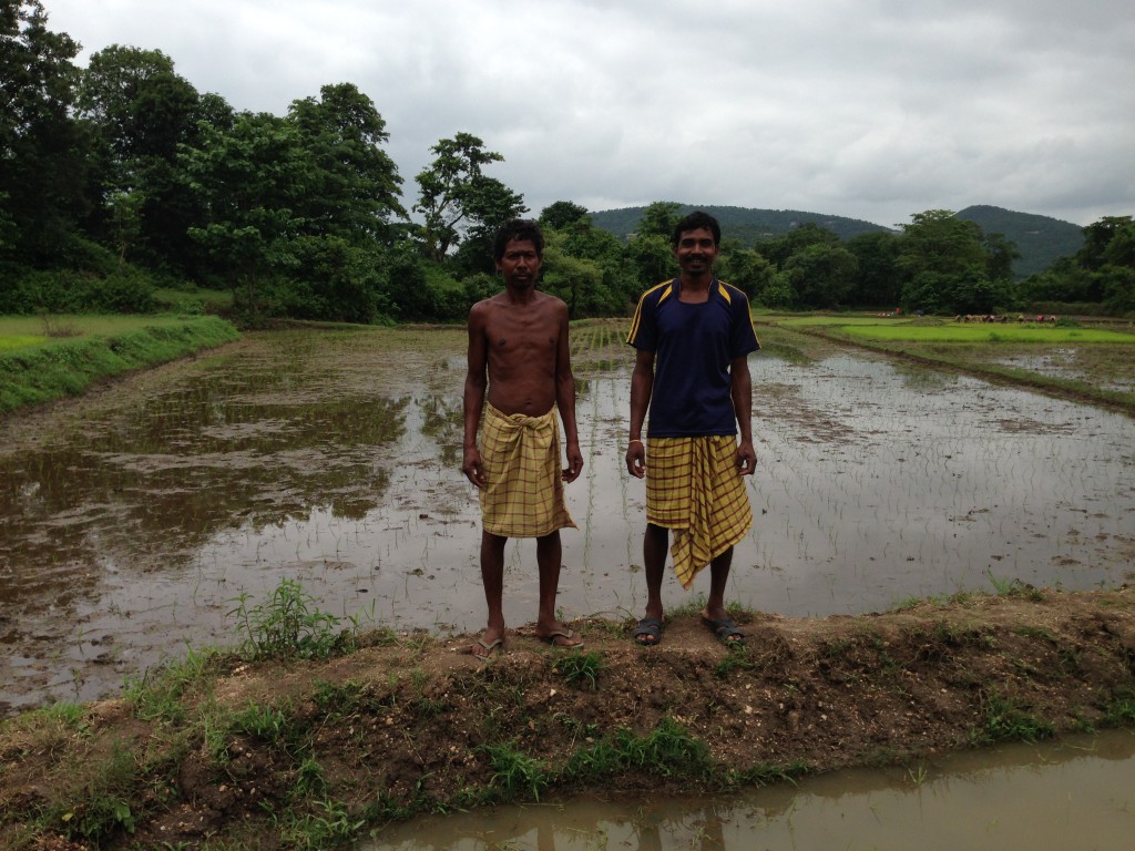 A Rice farmers Gambner Murmu and Amulya Mandi